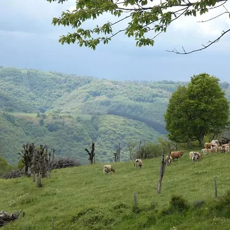 Dom wakacyjny Maison Entiere Situee A Proximite Du Centre Thermal De Chaudes-aigues