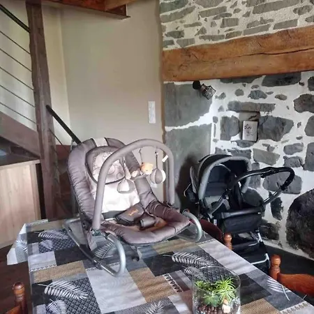 Maison Entiere Situee A Proximite Du Centre Thermal De Chaudes-aigues Dom wakacyjny Espinasse (Cantal)